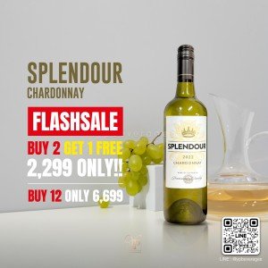 ไวน์ Splendour Chardonnay โปรโคตรคุ้ม 2 แถม 1 ราคา 2,299 บาท จัดส่งฟรีทั่วประเทศ!