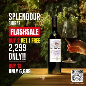 ไวน์ Splendour Shiraz โปรโคตรคุ้ม 2 แถม 1 ราคา 2,299 บาท จัดส่งฟรีทั่วประเทศ!