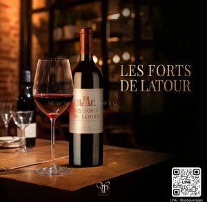 LES FORTS DE LATOUR
